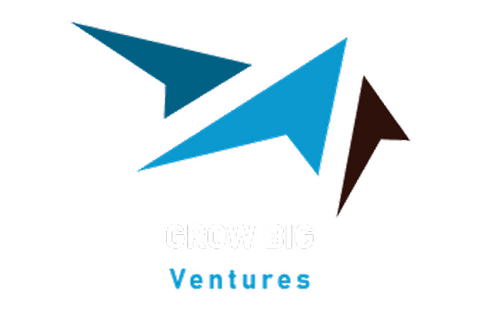 Grow Big Ventures